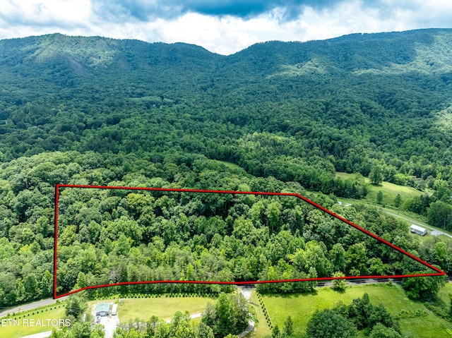 1477 Old Chilhowee Rd, Seymour, TN 37865