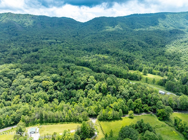 1477 Old Chilhowee Rd, Seymour, TN 37865
