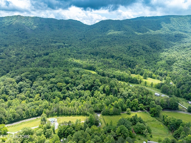1477 Old Chilhowee Rd, Seymour, TN 37865