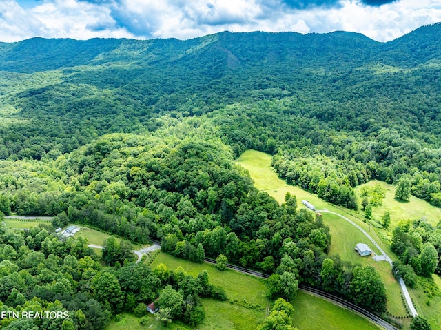 1477 Old Chilhowee Rd, Seymour, TN 37865