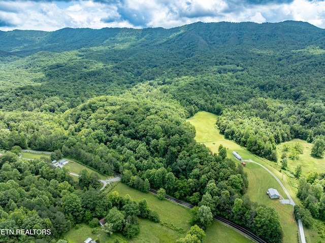 1477 Old Chilhowee Rd, Seymour, TN 37865