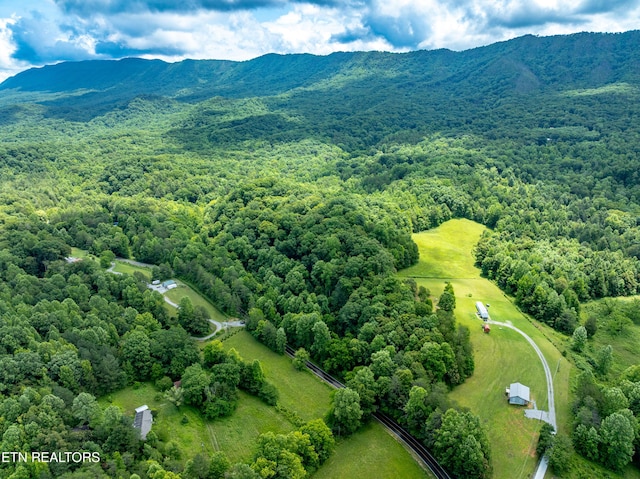 1477 Old Chilhowee Rd, Seymour, TN 37865