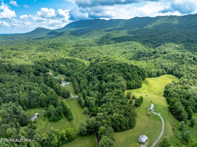 1477 Old Chilhowee Rd, Seymour, TN 37865