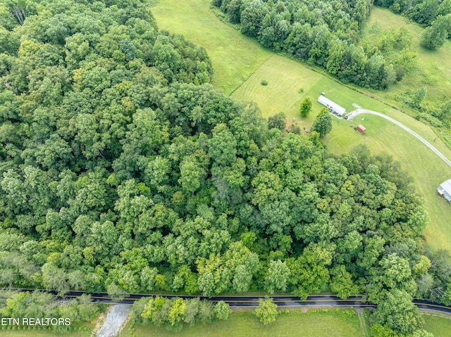 1477 Old Chilhowee Rd, Seymour, TN 37865
