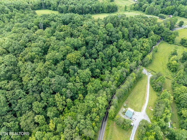 1477 Old Chilhowee Rd, Seymour, TN 37865
