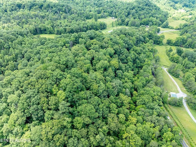 1477 Old Chilhowee Rd, Seymour, TN 37865