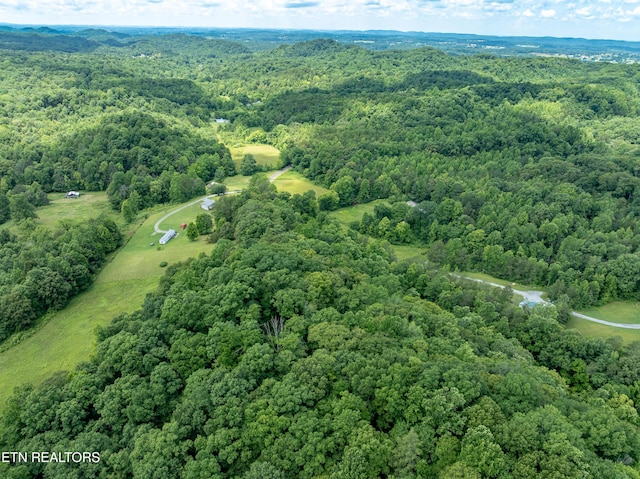 1477 Old Chilhowee Rd, Seymour, TN 37865