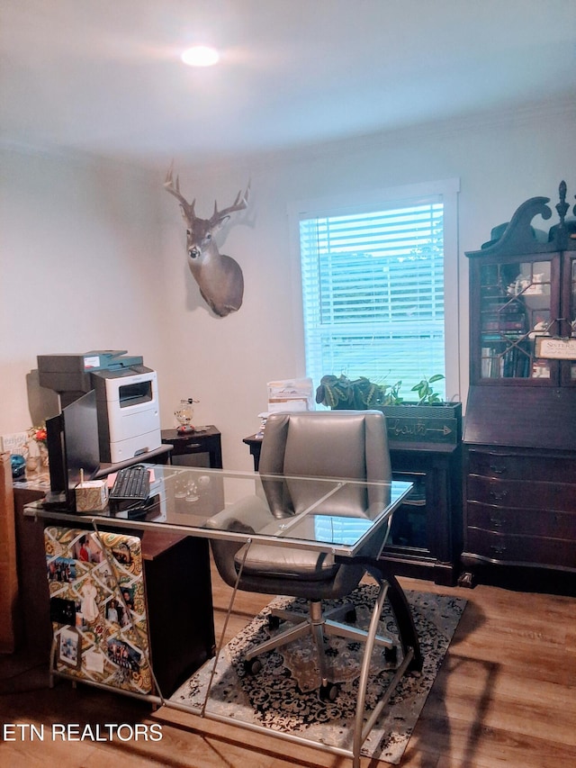 1748 Circle Lake Dr, Dandridge, TN 37725 - office area with wood finished floors and ornamental molding