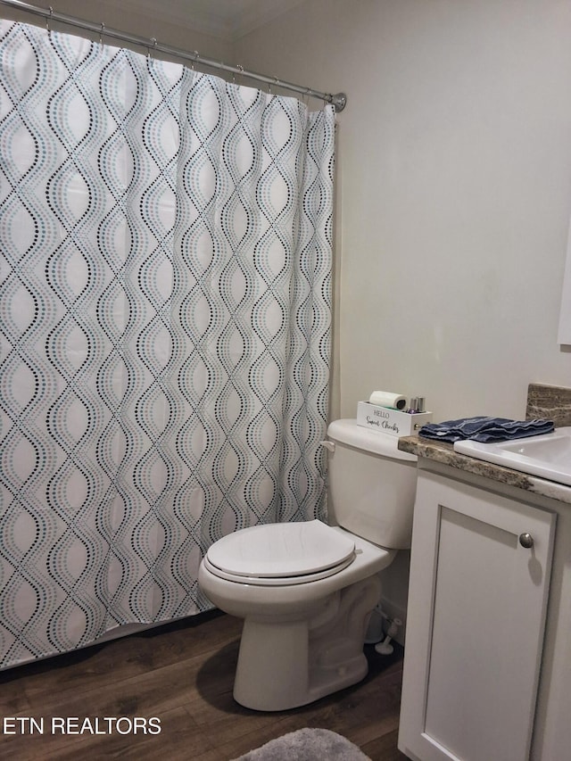 1748 Circle Lake Dr, Dandridge, TN 37725 - bathroom featuring wood finished floors, toilet, vanity, and a shower with curtain