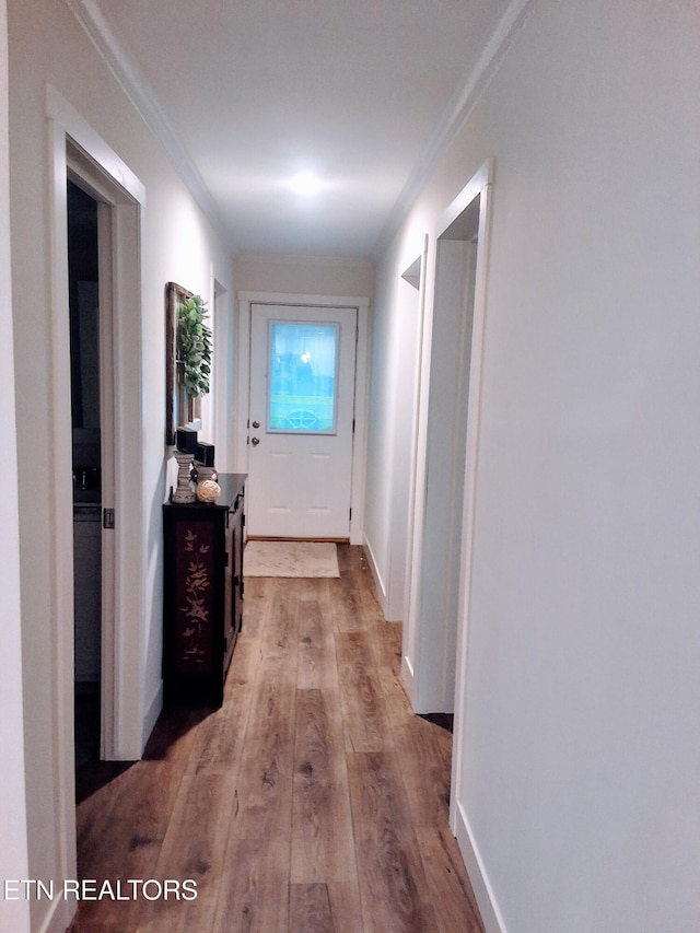 1748 Circle Lake Dr, Dandridge, TN 37725 - hall featuring wood finished floors, ornamental molding, and baseboards