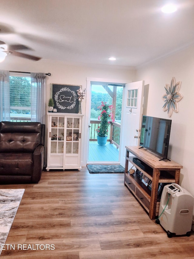 1748 Circle Lake Dr, Dandridge, TN 37725 - living area featuring healthy amount of natural light, a ceiling fan, light wood-style flooring, recessed lighting, and crown molding