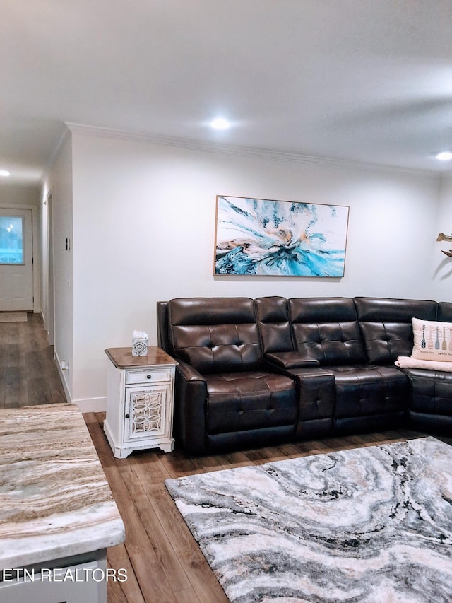 1748 Circle Lake Dr, Dandridge, TN 37725 - living room featuring wood finished floors, crown molding, and recessed lighting