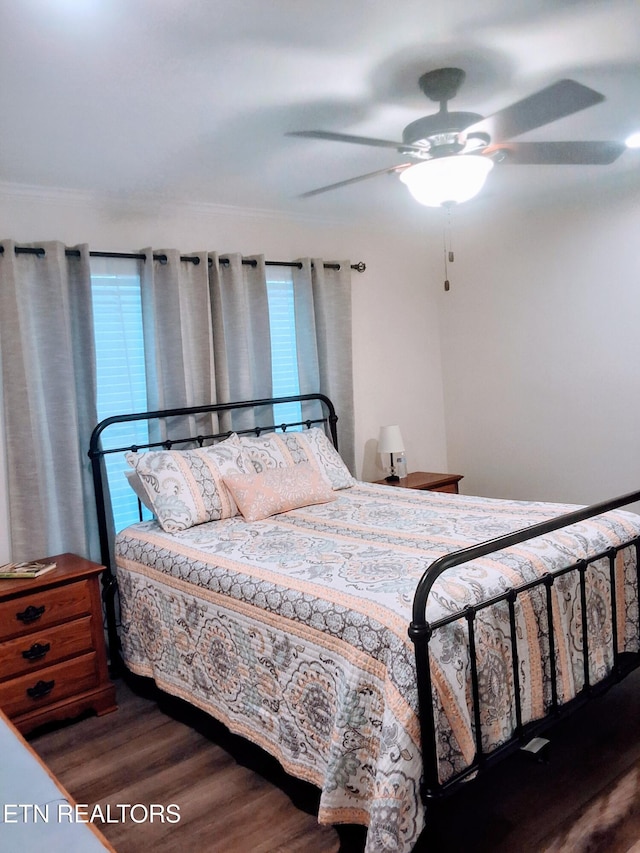 1748 Circle Lake Dr, Dandridge, TN 37725 - bedroom with multiple windows, wood finished floors, ornamental molding, and ceiling fan