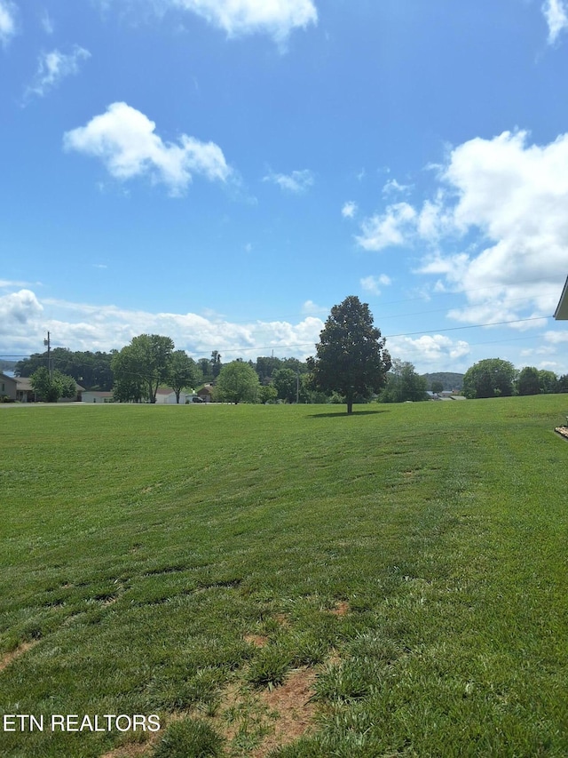 1748 Circle Lake Dr, Dandridge, TN 37725 - view of grassy yard with a view of rural / pastoral area