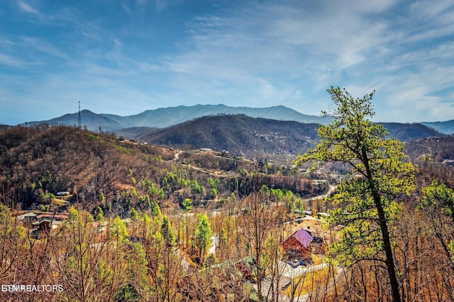 204 Pinnacle Dr, Gatlinburg, TN 37738 - view of mountain backdrop