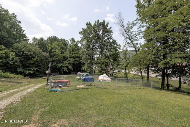 4532 E Lamar Alexander Pkwy, Walland, TN 37886 - photo 43