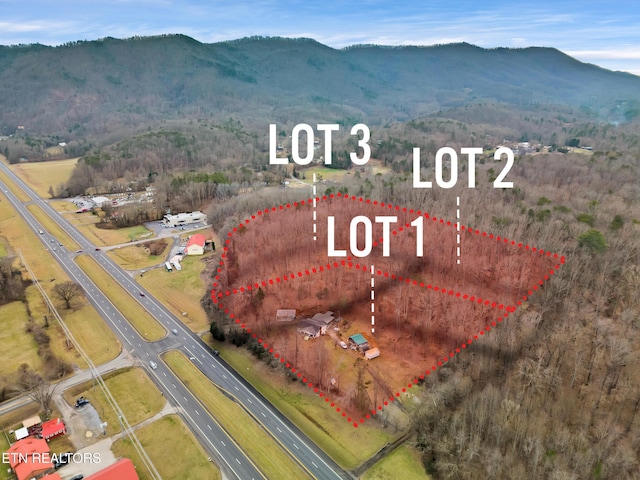 4532 E Lamar Alexander Pkwy, Walland, TN 37886 - photo 2