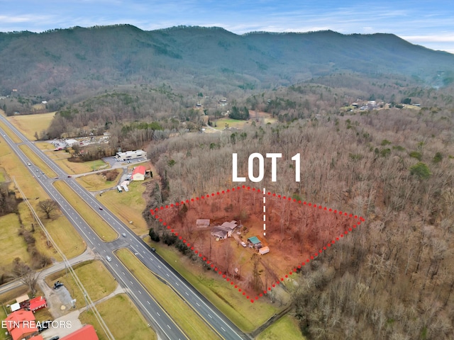 4532 E Lamar Alexander Pkwy, Walland, TN 37886 - photo 1