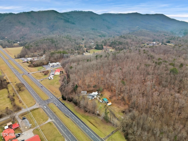 4532 E Lamar Alexander Pkwy, Walland, TN 37886 - photo 51