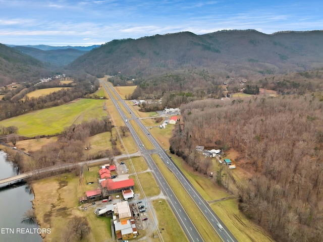 4532 E Lamar Alexander Pkwy, Walland, TN 37886 - photo 52