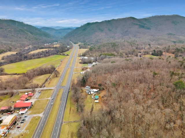 4532 E Lamar Alexander Pkwy, Walland, TN 37886 - photo 53