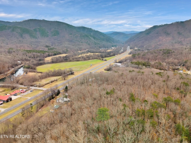 4532 E Lamar Alexander Pkwy, Walland, TN 37886 - photo 54