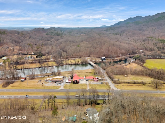 4532 E Lamar Alexander Pkwy, Walland, TN 37886 - photo 55