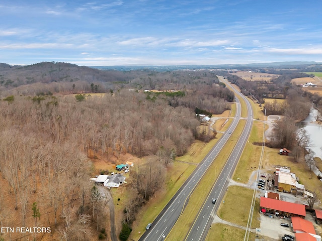 4532 E Lamar Alexander Pkwy, Walland, TN 37886 - photo 57