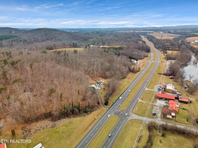 4532 E Lamar Alexander Pkwy, Walland, TN 37886 - photo 58