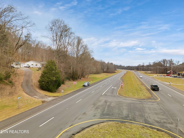 4532 E Lamar Alexander Pkwy, Walland, TN 37886 - photo 4