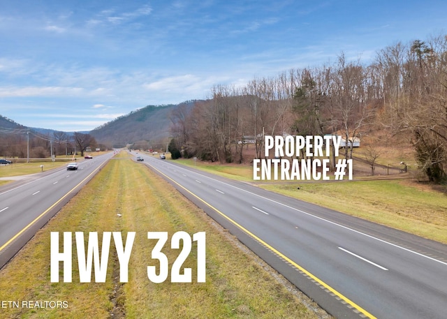 4532 E Lamar Alexander Pkwy, Walland, TN 37886 - photo 5