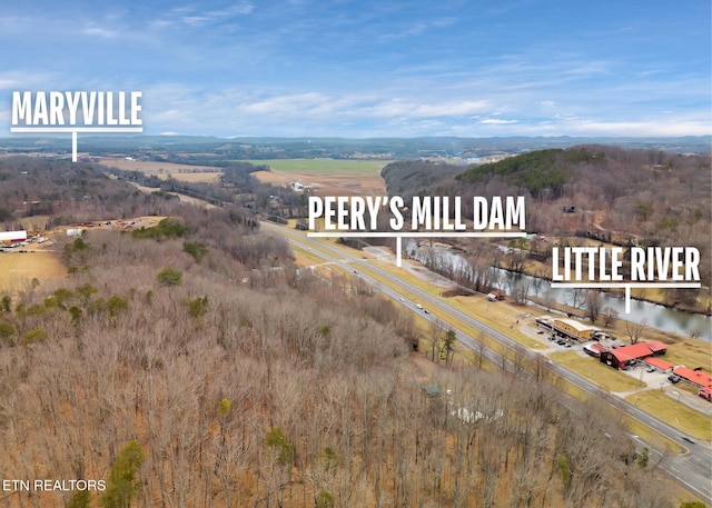 4532 E Lamar Alexander Pkwy, Walland, TN 37886 - photo 7
