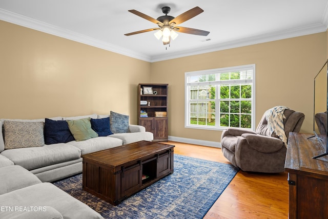 1207 Elsborn Ridge Rd, Maryville, TN 37801 - photo 18