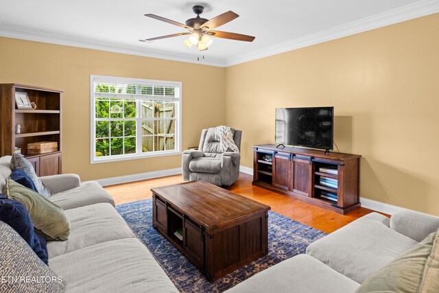1207 Elsborn Ridge Rd, Maryville, TN 37801 - photo 17