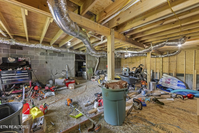 4509 Lifford Ln, Corryton, TN 37721 - unfinished basement with concrete block wall