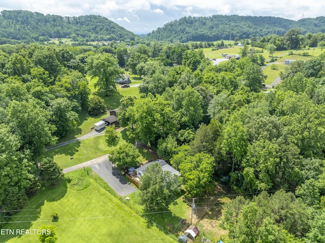4509 Lifford Ln, Corryton, TN 37721 - aerial view of a forest