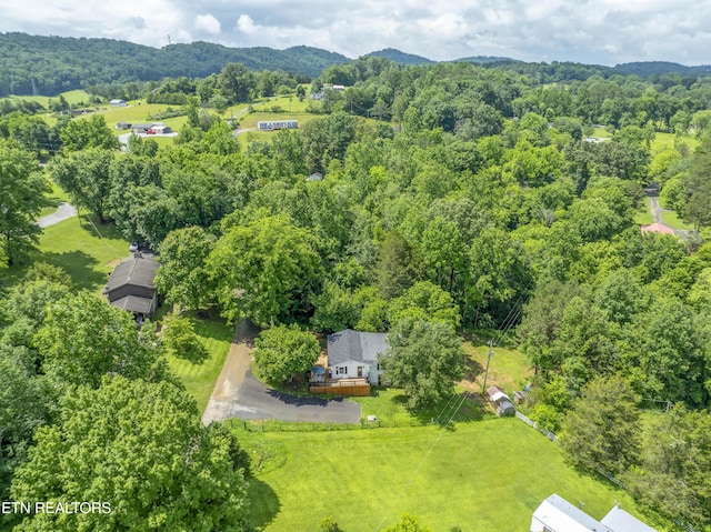 4509 Lifford Ln, Corryton, TN 37721 - drone / aerial view of a forest