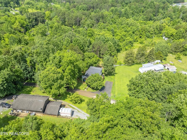 4509 Lifford Ln, Corryton, TN 37721 - aerial view of a heavily wooded area