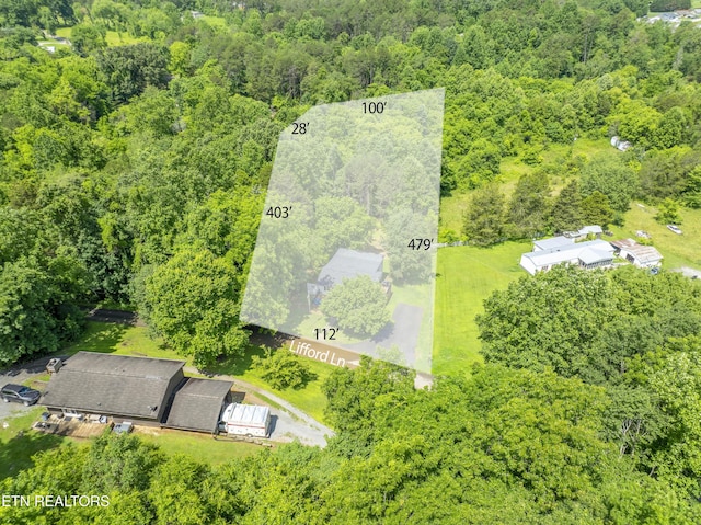 4509 Lifford Ln, Corryton, TN 37721 - drone / aerial view of a forest