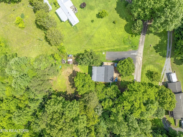 4509 Lifford Ln, Corryton, TN 37721 - bird's eye view