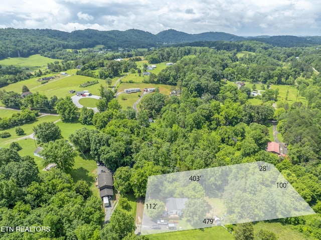 4509 Lifford Ln, Corryton, TN 37721 - aerial view of a forest and mountains