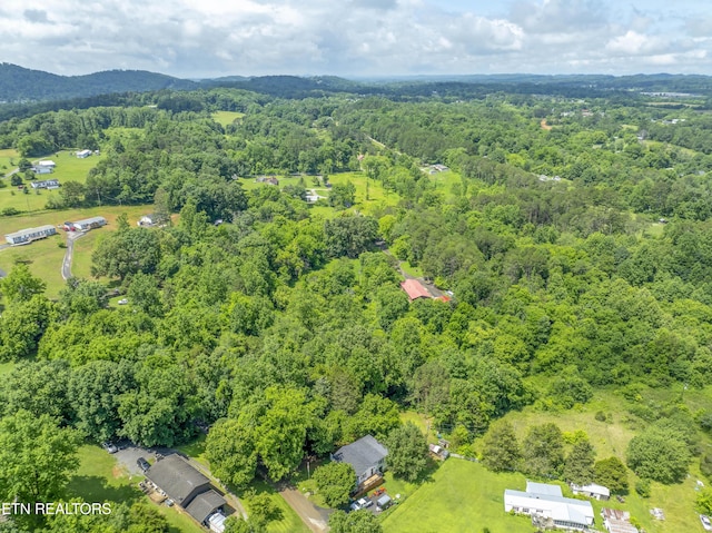 4509 Lifford Ln, Corryton, TN 37721 - bird's eye view of a heavily wooded area