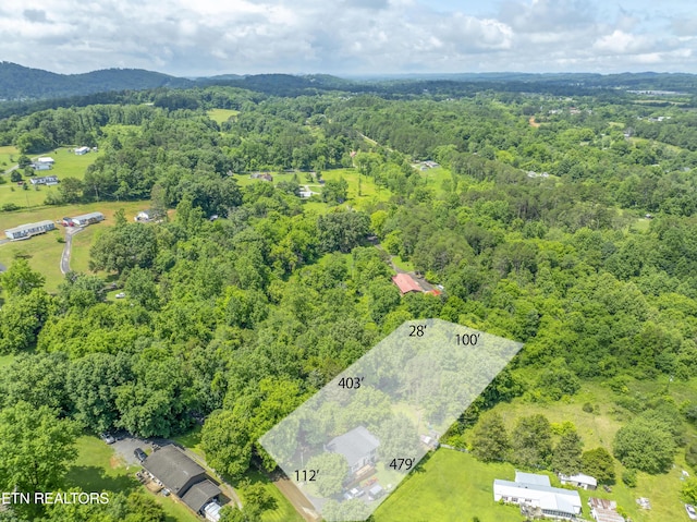 4509 Lifford Ln, Corryton, TN 37721 - bird's eye view of a heavily wooded area