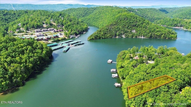 N Shorewood Ln, Caryville, TN 37714