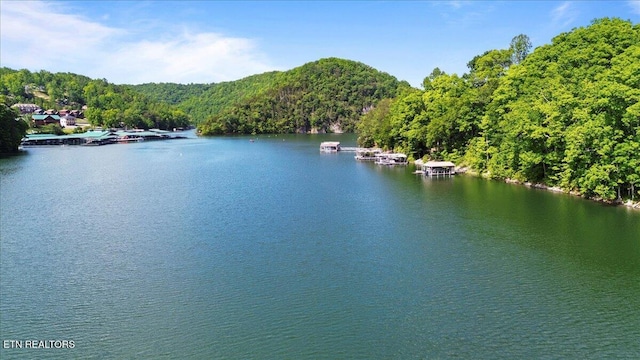 N Shorewood Ln, Caryville, TN 37714