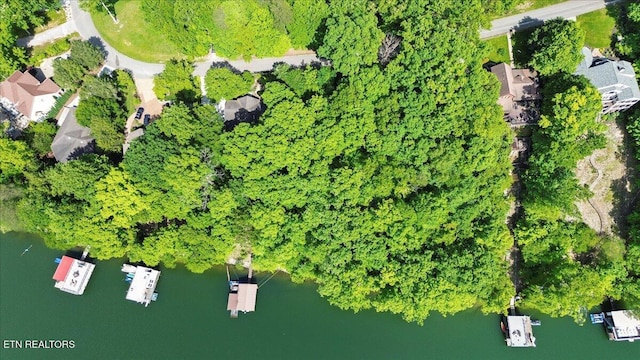 N Shorewood Ln, Caryville, TN 37714