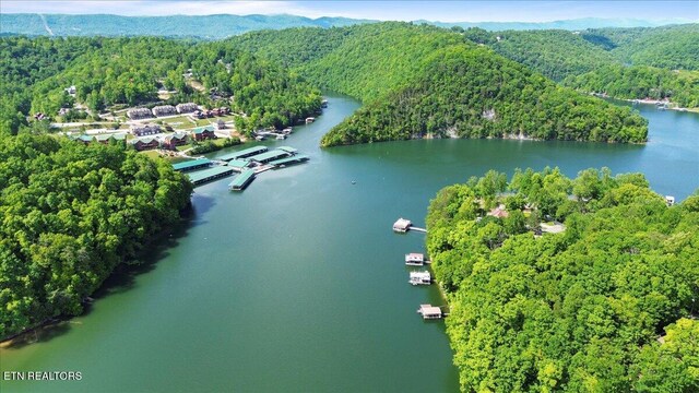 N Shorewood Ln, Caryville, TN 37714