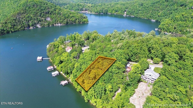 N Shorewood Ln, Caryville, TN 37714