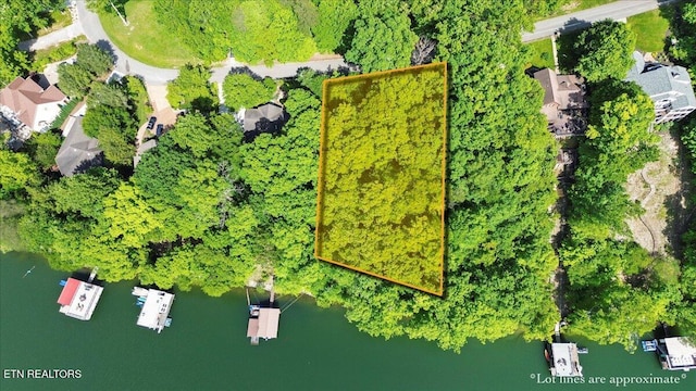 N Shorewood Ln, Caryville, TN 37714