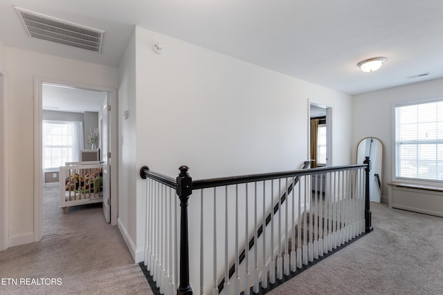 1912 Mahogany Wood Trl, Knoxville, TN 37920 - photo 15